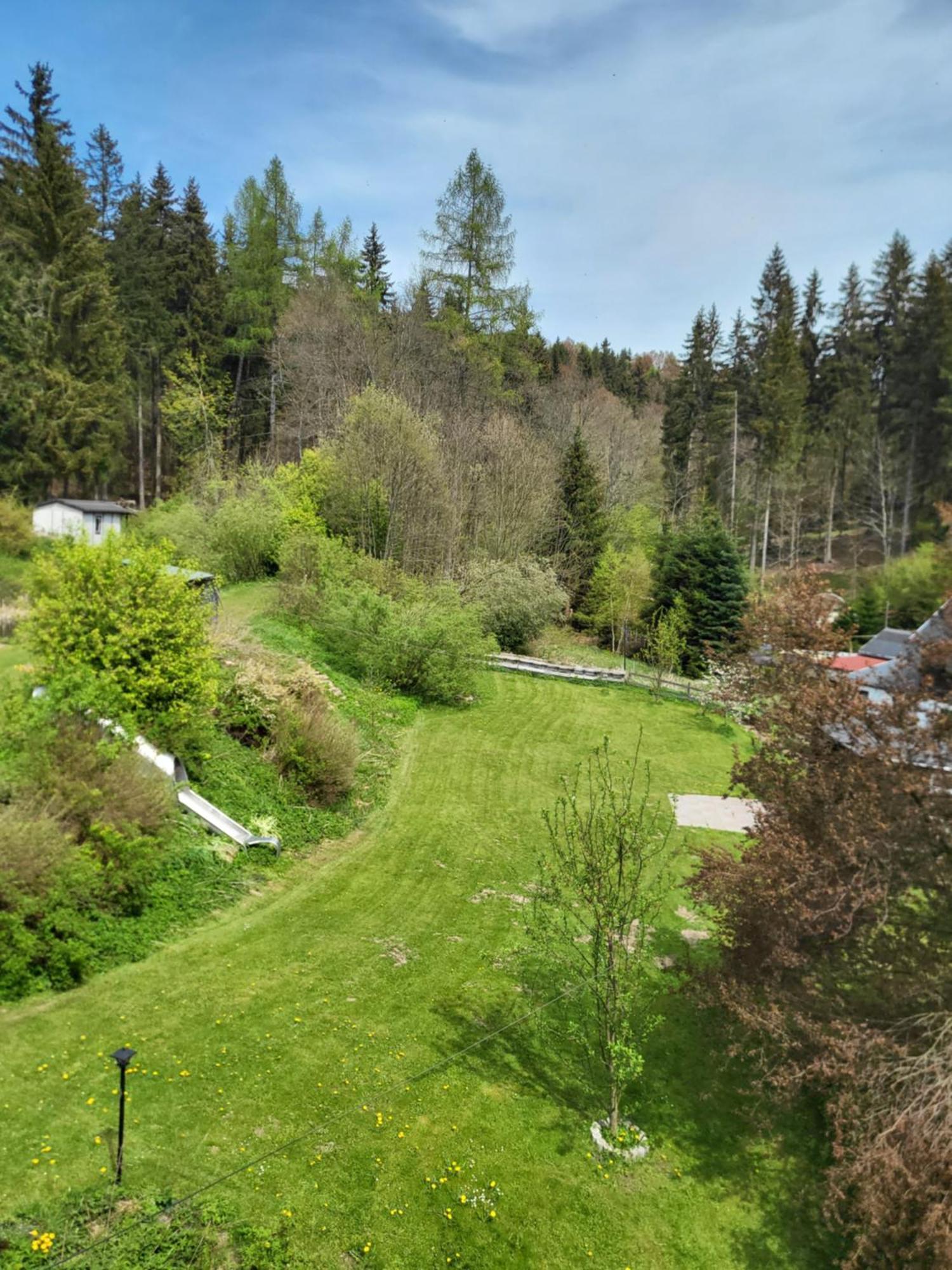 Die Oberlochmuehle Pension Deutschneudorf Zewnętrze zdjęcie