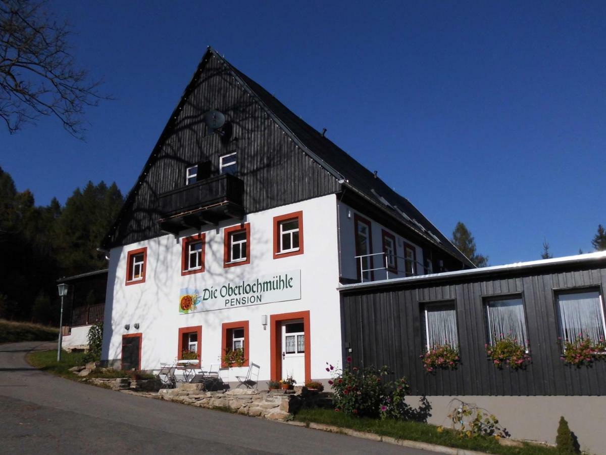 Die Oberlochmuehle Pension Deutschneudorf Zewnętrze zdjęcie