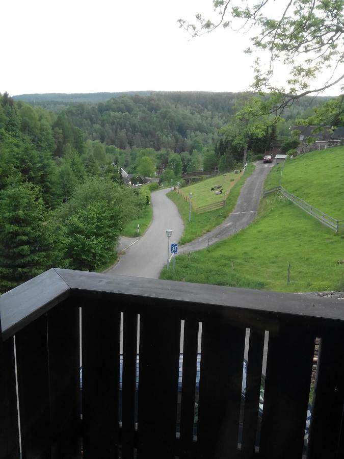 Die Oberlochmuehle Pension Deutschneudorf Zewnętrze zdjęcie